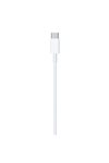 Câble Apple USB-C vers Lightning 2 m