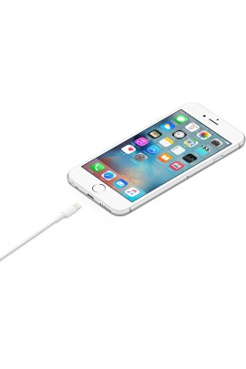 Apple Lightning zu USB Kabel 2m