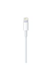 Câble Apple Lightning vers USB 2 m
