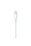 Apple Lightning to USB Cable 0.5m