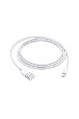 Apple Lightning zu USB Kabel 1m