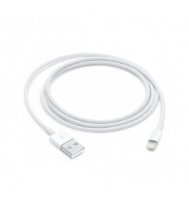 Câble Apple Lightning vers USB 1m